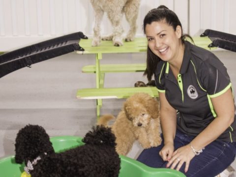 Dog Daycare Sydney