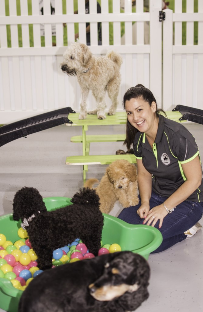 Dog Daycare Sydney