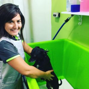 Dog Grooming Sydney