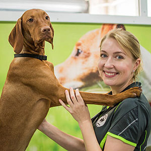 Sydney puppy preschool